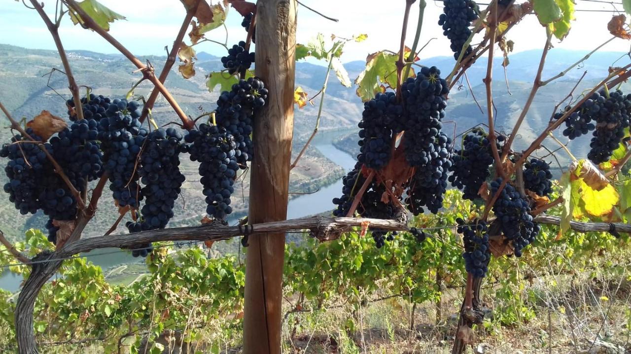 Stay At The Winemaker Ervedosa do Douro Luaran gambar