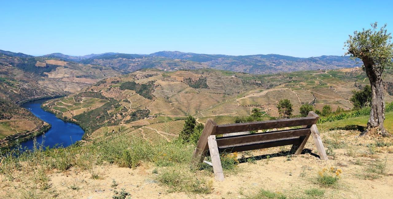 Stay At The Winemaker Ervedosa do Douro Luaran gambar