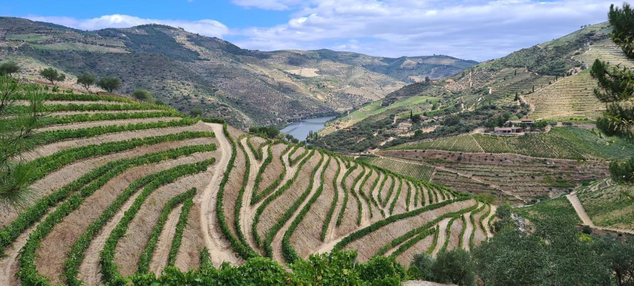 Stay At The Winemaker Ervedosa do Douro Luaran gambar