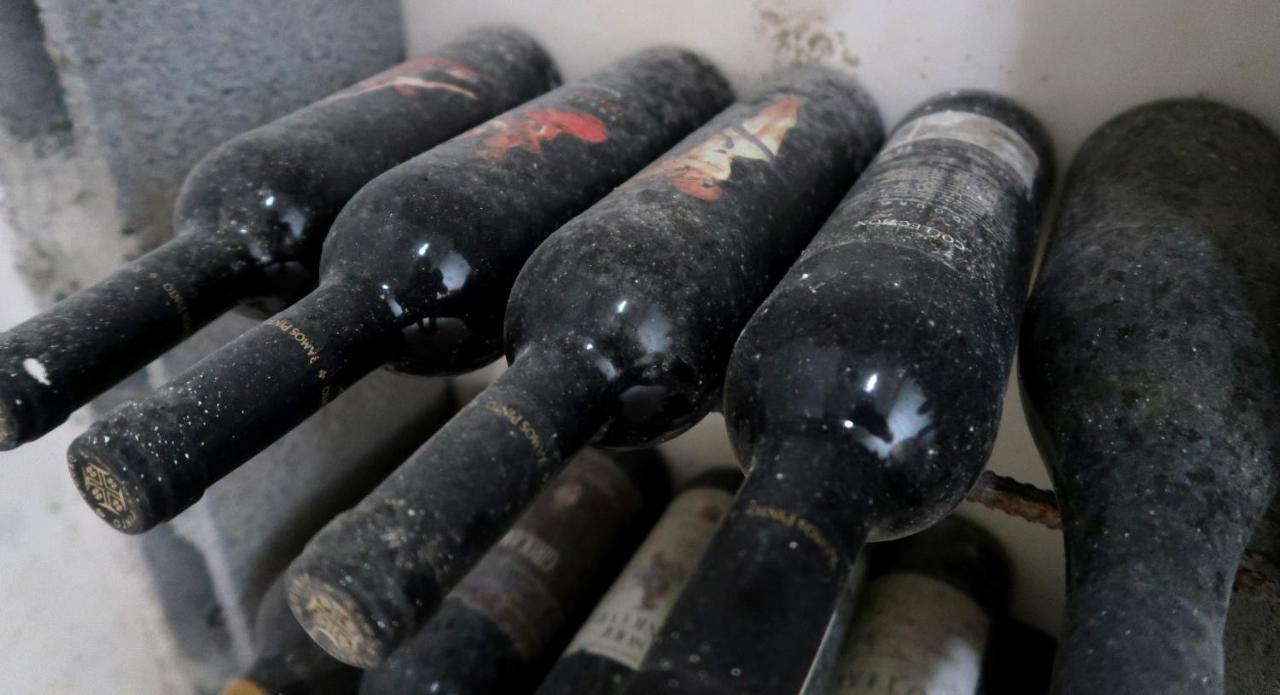 Stay At The Winemaker Ervedosa do Douro Luaran gambar