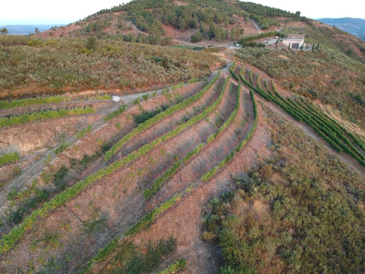 Stay At The Winemaker Ervedosa do Douro Luaran gambar