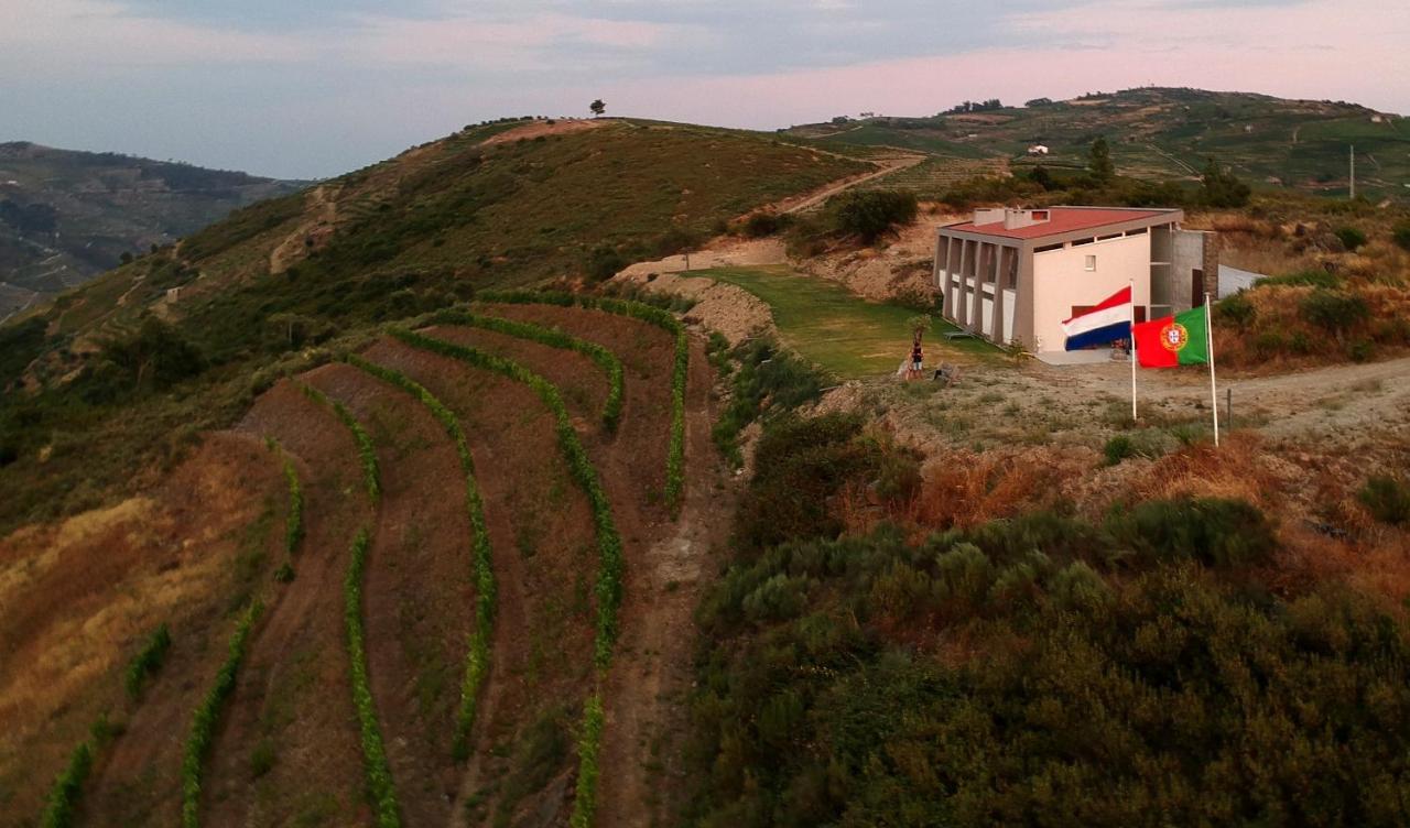 Stay At The Winemaker Ervedosa do Douro Luaran gambar