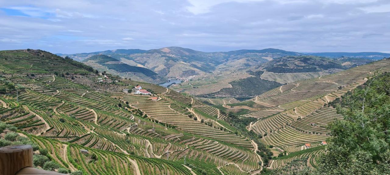 Stay At The Winemaker Ervedosa do Douro Luaran gambar