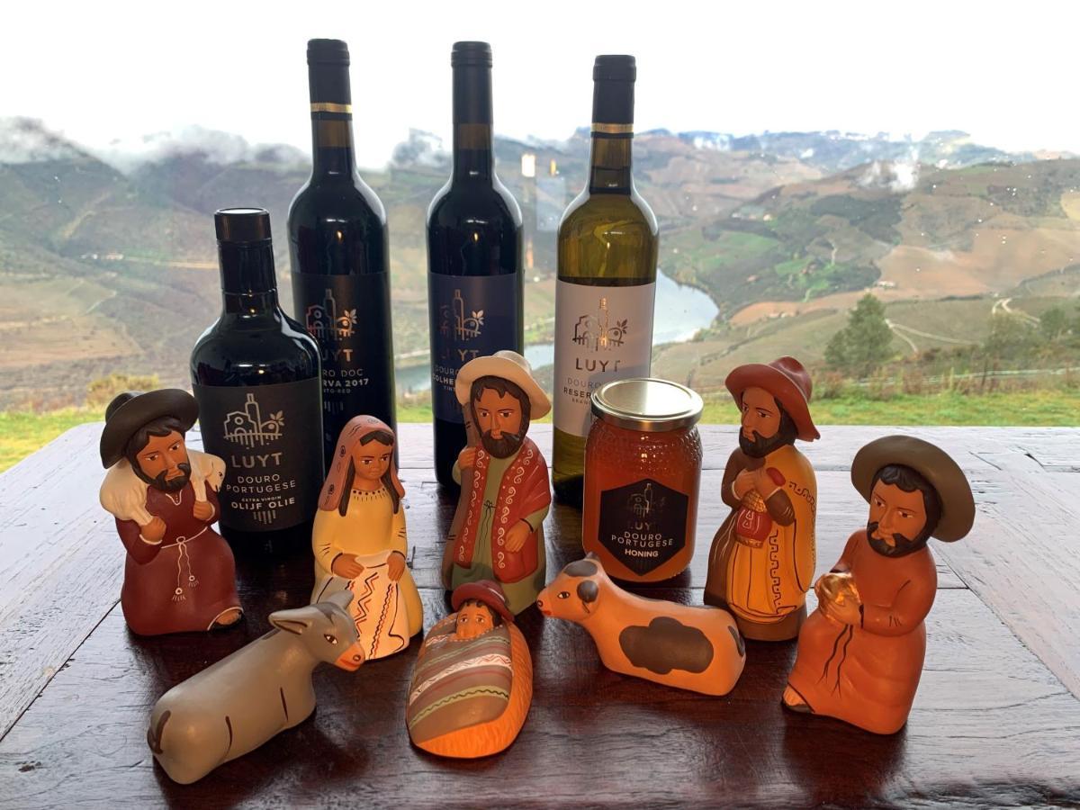Stay At The Winemaker Ervedosa do Douro Luaran gambar