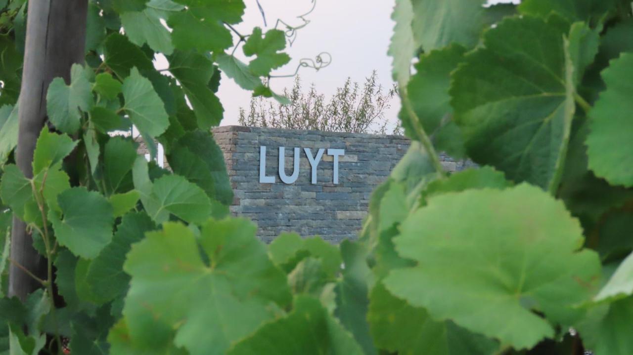 Stay At The Winemaker Ervedosa do Douro Luaran gambar